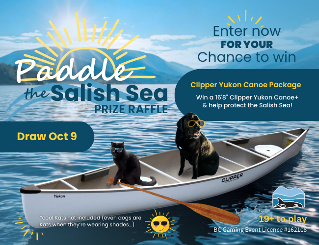raffle splash